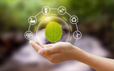 Sustainable Practices: Integrating environmental and social responsibility into the business mission